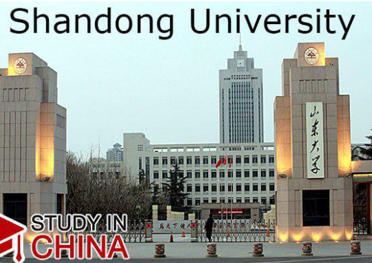 What is the Chinese government scholarship for Shandong university