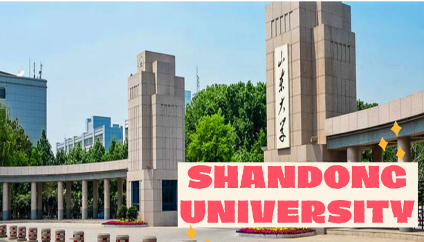 How much is the application fee for Shandong University CSC