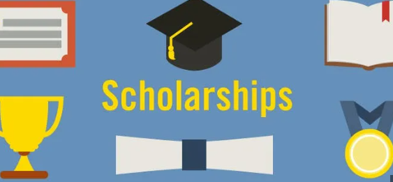 What is the Chinese government scholarship for Barbados