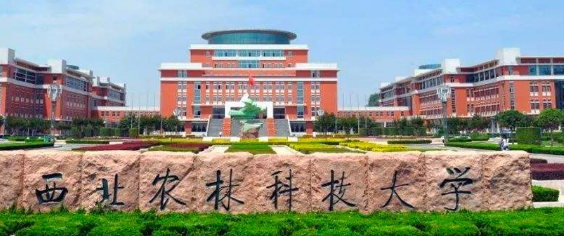 What is Northwest A and F University ranked in China